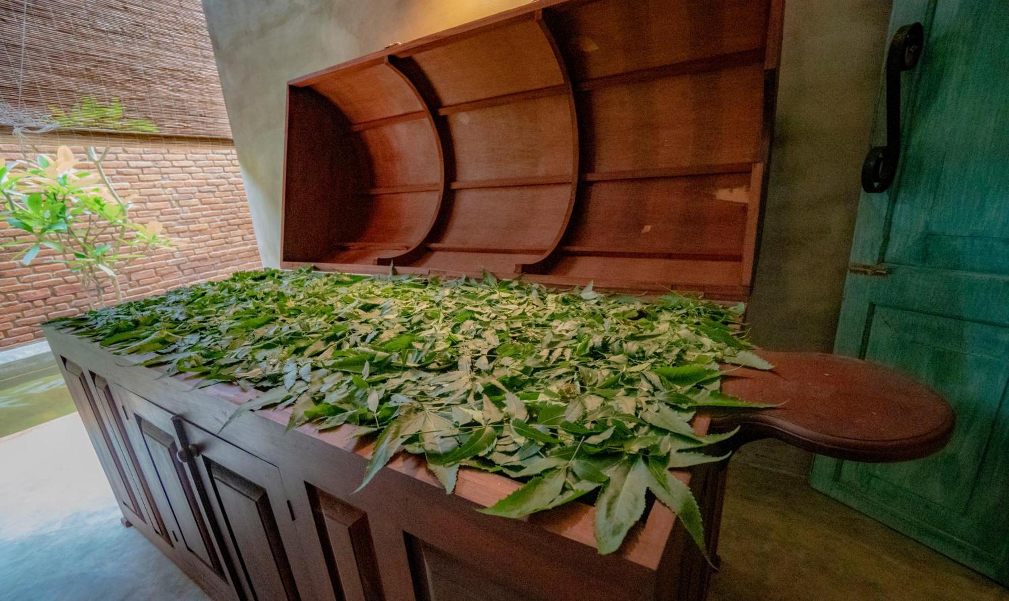 Ayur Ayur Resort & Ayurveda Retreat نيجومبو المظهر الخارجي الصورة