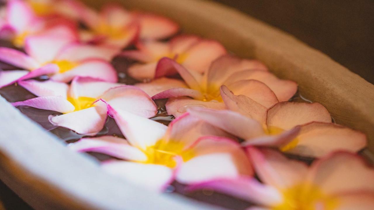 Ayur Ayur Resort & Ayurveda Retreat نيجومبو المظهر الخارجي الصورة